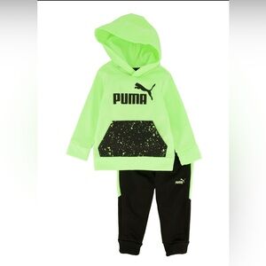 Puma
